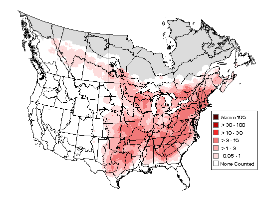 Eastern Phoebe Breeding Map