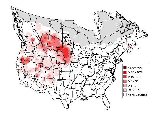 Gadwall Breeding Map