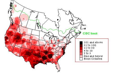 Gadwall Winter Map