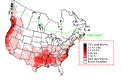 Glossy Ibis Winter Map