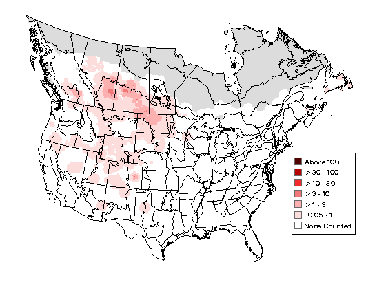 Green-winged Teal Breeding Map