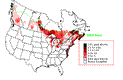 Herring Gull Breeding Map