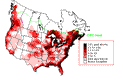 Herring Gull Winter Map