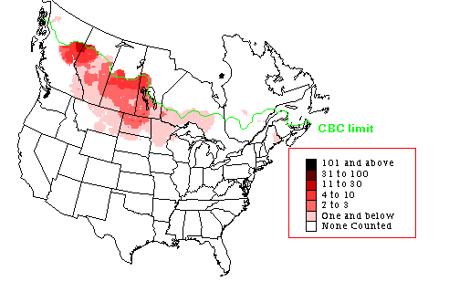 Hoary Redpoll Winter Map