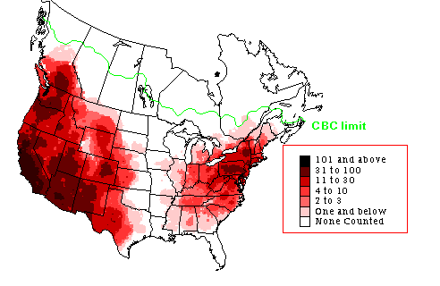 House Finch Winter Map