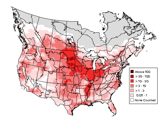 Killdeer Breeding Map