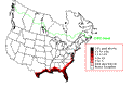 Laughing Gull Winter Map