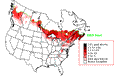 Magnolia Warbler Breeding Map