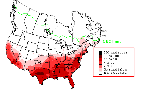 Northern Mockingbird CBC Map