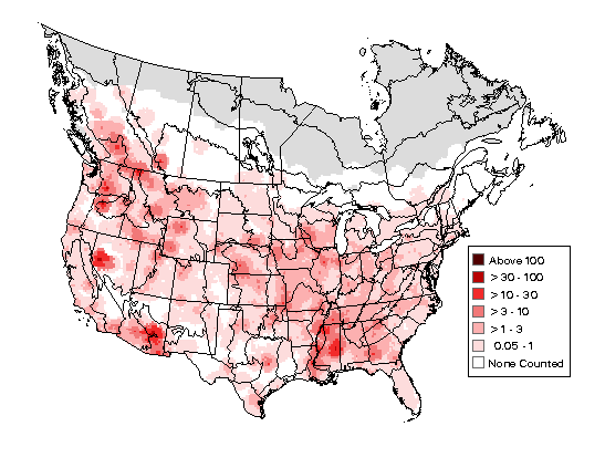 Northern
Rough-winged Swallow Breeding Map