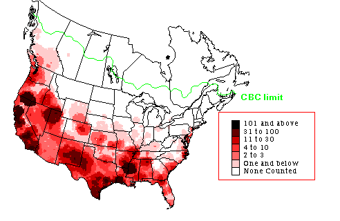 Northern Shoveler CBC Map