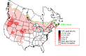 Northern Shrike Winter Map