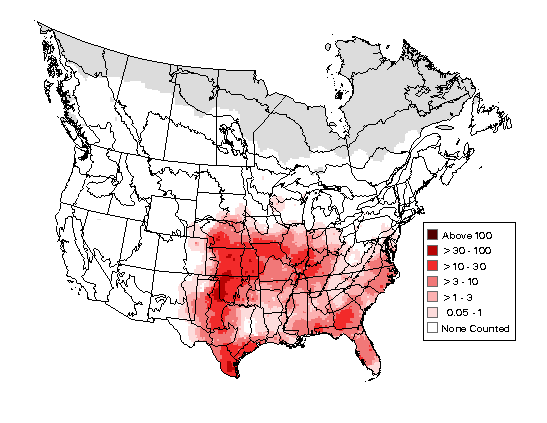 Northern Bobwhite Breeding Map