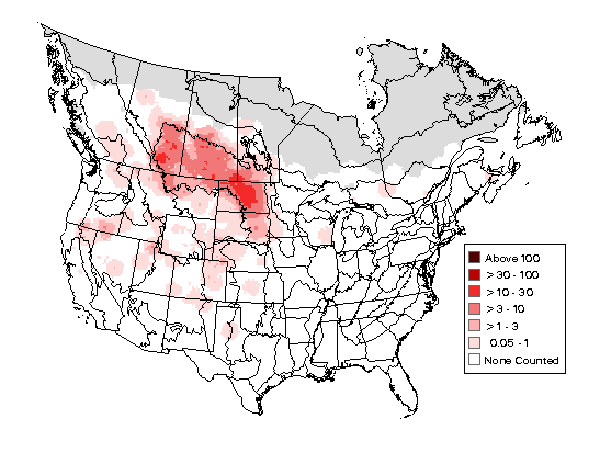 Northern Shoveler Breeding Map