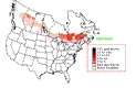 Philadelphia Vireo Breeding Map