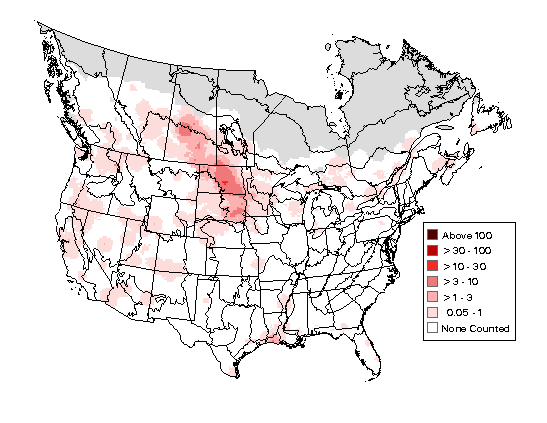 Pied-billed Grebe Breeding Map