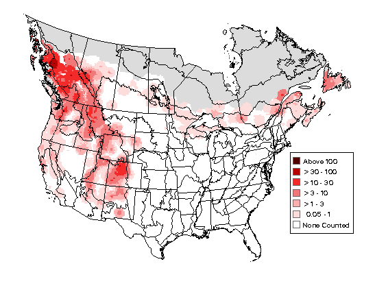 Pine Siskin Breeding Map