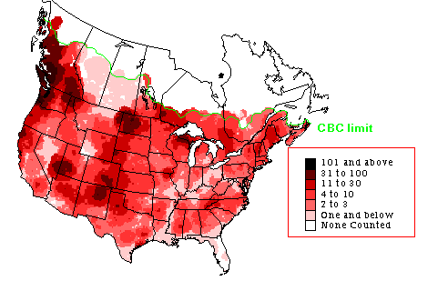 Pine Siskin Winter Map