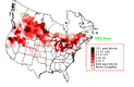 R-Billed Gull Breeding Map