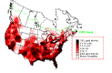 R-Billed Gull Winter Map