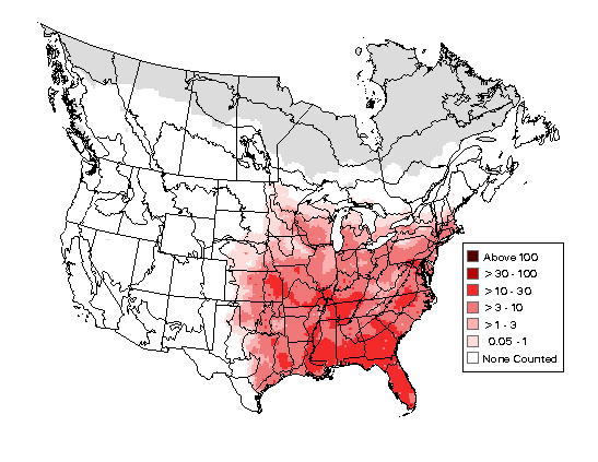 Red-bellied Woodpecker Breeding Map