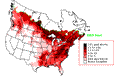 Red-eyed Vireo Breeding Map