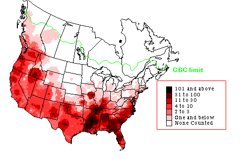 Ring-necked Duck Winter Map