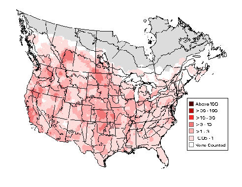 Red-tailed Hawk Breeding Map