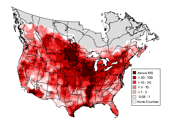 Red-winged Blackbird Breeding Map