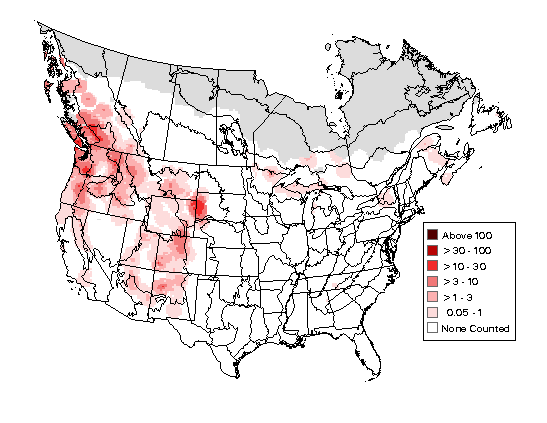 Red Crossbill Breeding Map