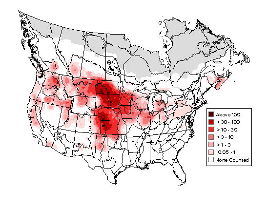 Ring-necked Pheasant Breeding Map