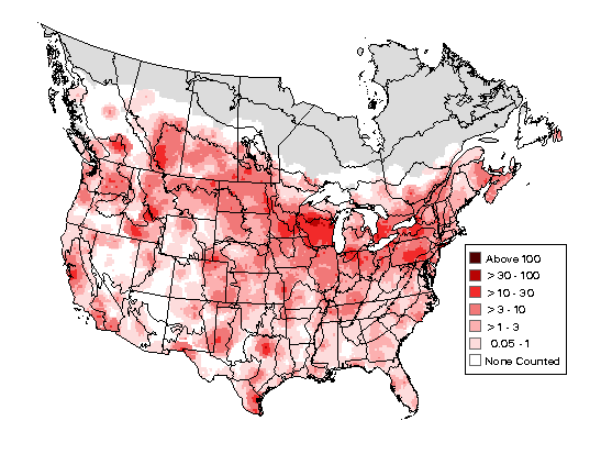 Rock Pigeon Breeding Map