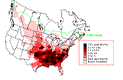 Rusty Blackbird Winter Map