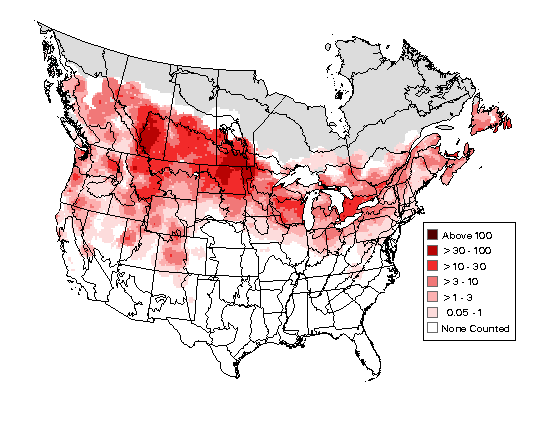 Savannah Sparrow Breeding Map