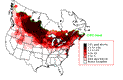 Snow Bunting Winter Map