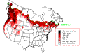 Swainson's Thrush Breeding Map