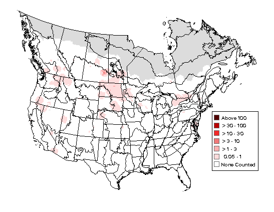Virginia Rail Breeding Map