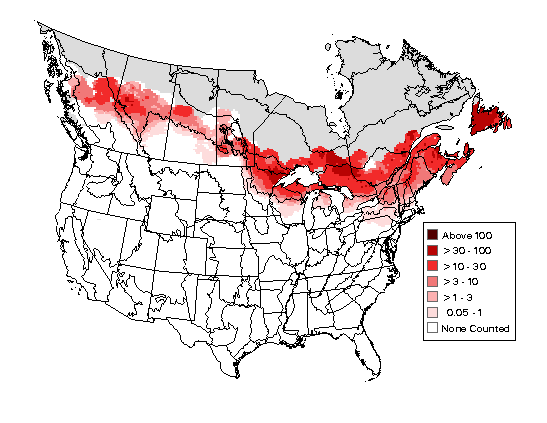 White-throated Sparrow Breeding Map