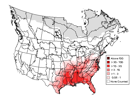 White-eyed Vireo Breeding Map