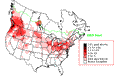 Willow Flycatcher Breeding Map