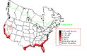 Willet Winter Map