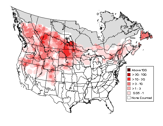 Wilson's Snipe Breeding Map