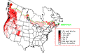 Wilson's Warbler Breeding Map