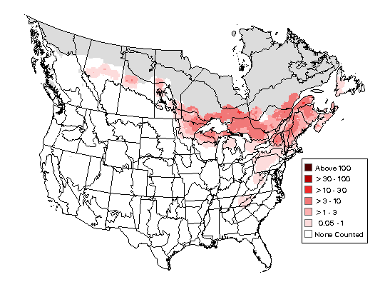 Winter Wren Breeding Map