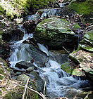 Brook in Spring