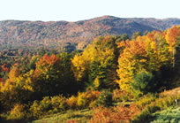 Autumn in the Mountains