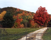 Vermont Fall Foliage