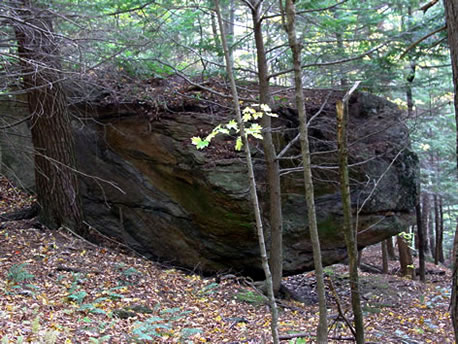 Glacial Erratic