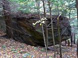 Glacial Erratic